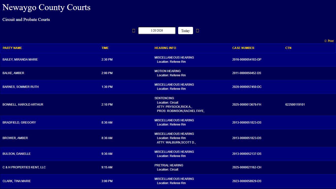 Newaygo County Courts - Court Display